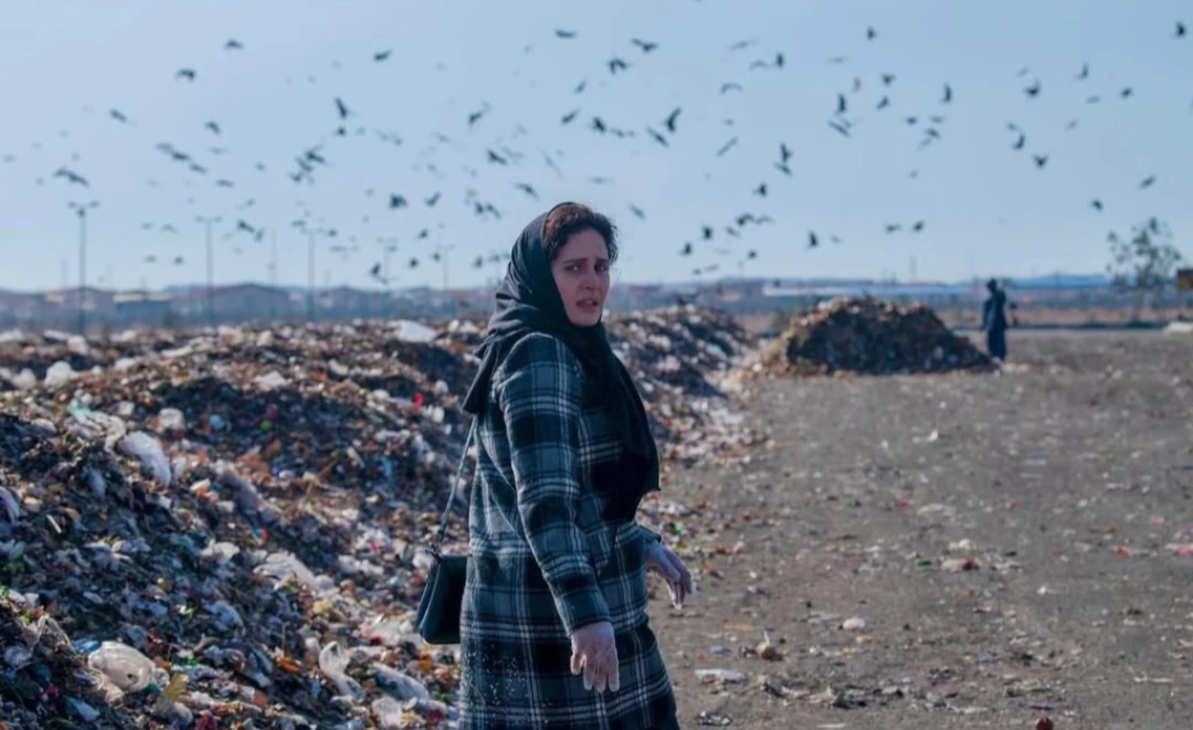 Screenshot_20251203_110136_Gallery