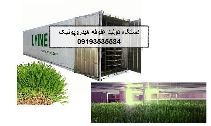 قیمت سینی کشت علوفه هیدروپونیک برای کشت