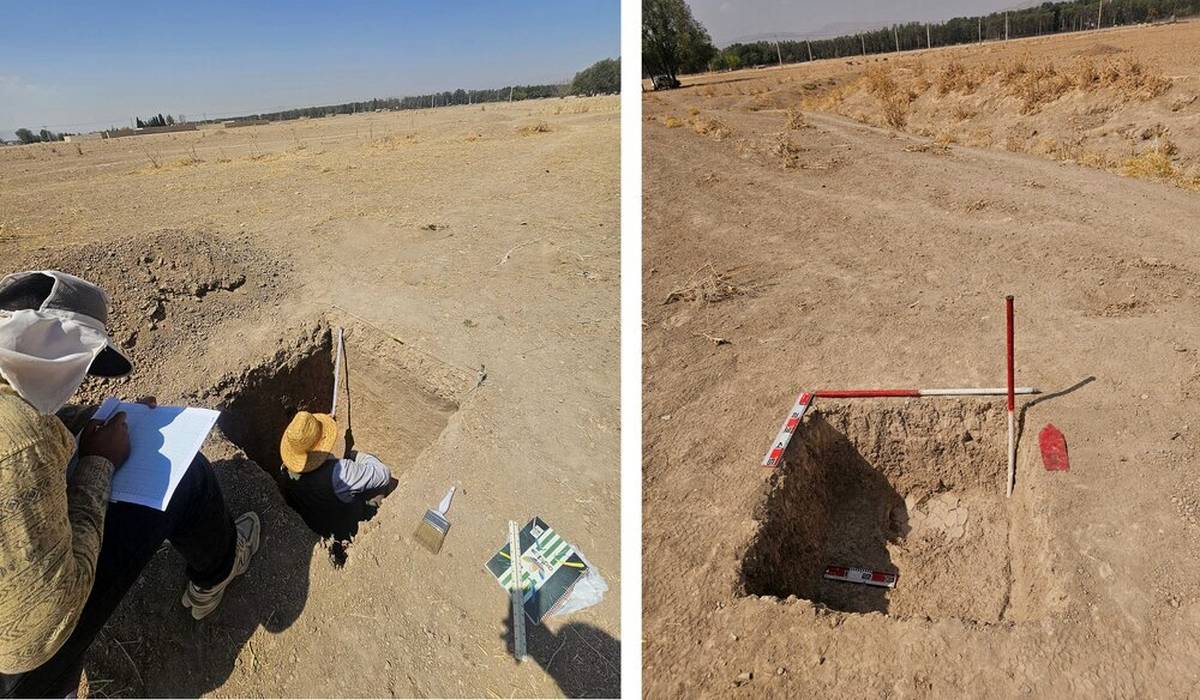 کشف آثار تدفین خمرهای در تخت جمشید