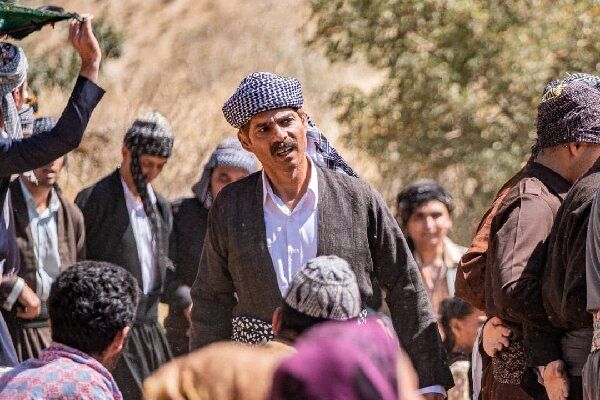 «درخت گردو» از اکران انصراف داد/ مصوبه دیروز بی‌احترامی به ما بود