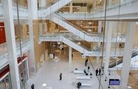 ۴ ماه زندان برای زنی که موهای دخترش را به زور تراشید