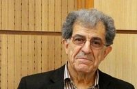 پژوهشگر ۸۳ ساله از ۱۲ ساعت کار روزانه‌اش گفت/بررسی گل و گیاه در شعر نو