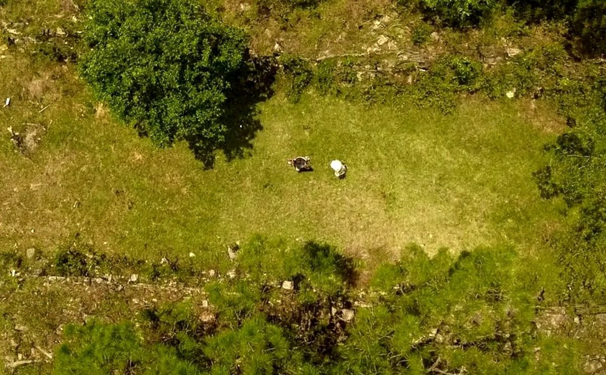 شهر گمشده سنگی بعد از ۱۲۰۰ سال بیرون آمد
