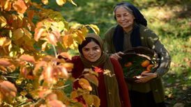 دوست دارم با بزرگان سینما کار کنم | گفت وگو با سپیده آرمان بازیگر فیلم «آهو» به کارگردانی هوشنگ گلمکانی 
