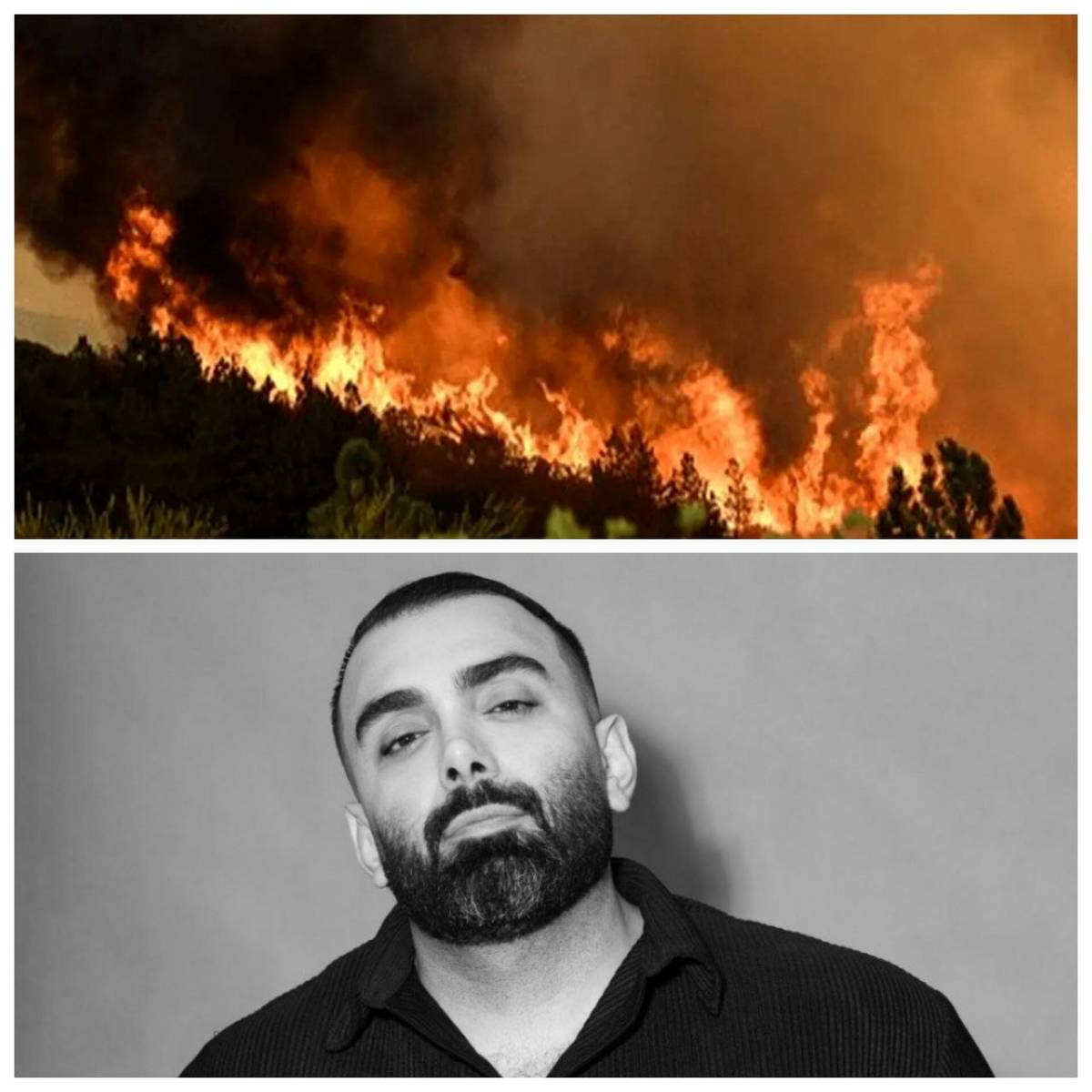 مسعود صادقلو: جنگل‌های کشور می‌سوزد؛ خواهشمندم مسئولان کاری کنند