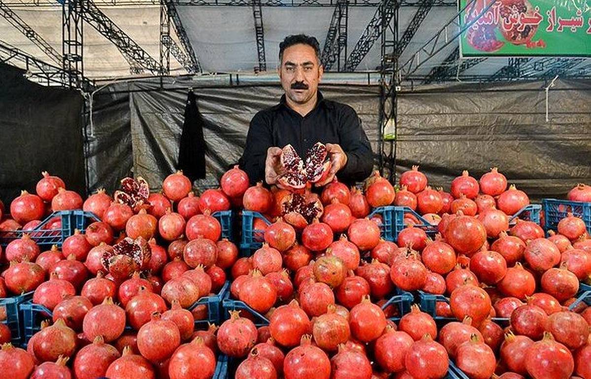 برگزاری جشنواره و نمایشگاه انار در تهران
