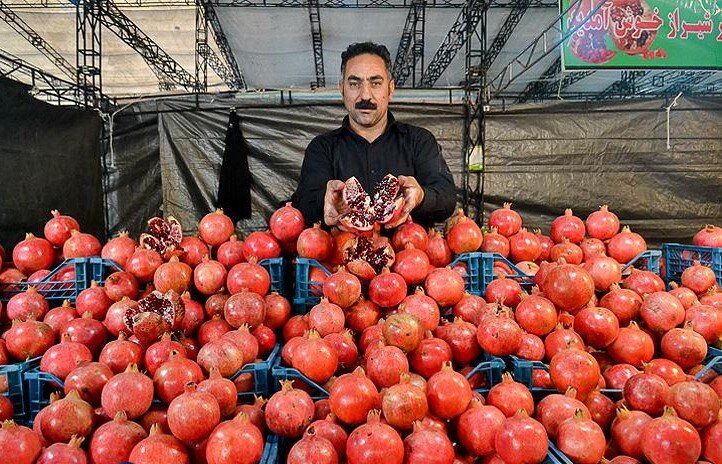 برگزاری جشنواره و نمایشگاه انار در تهران
